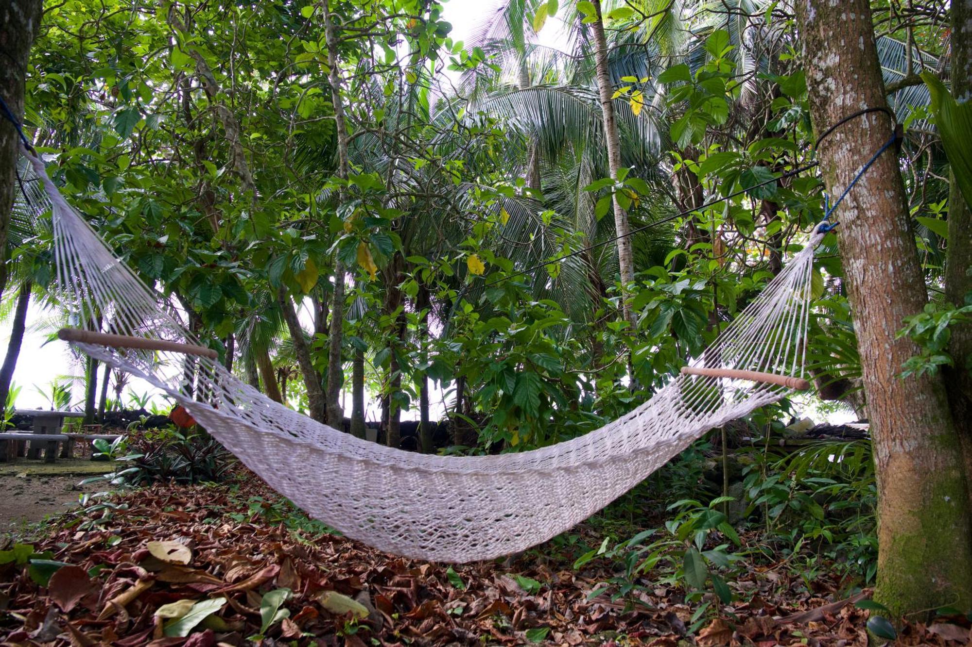 Albergue Casa Mamre Cahuita Exterior foto