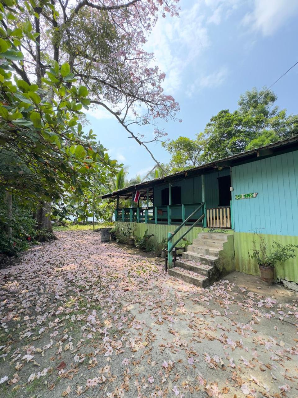 Albergue Casa Mamre Cahuita Exterior foto